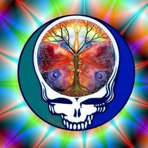 Meet your Posher, Cameron